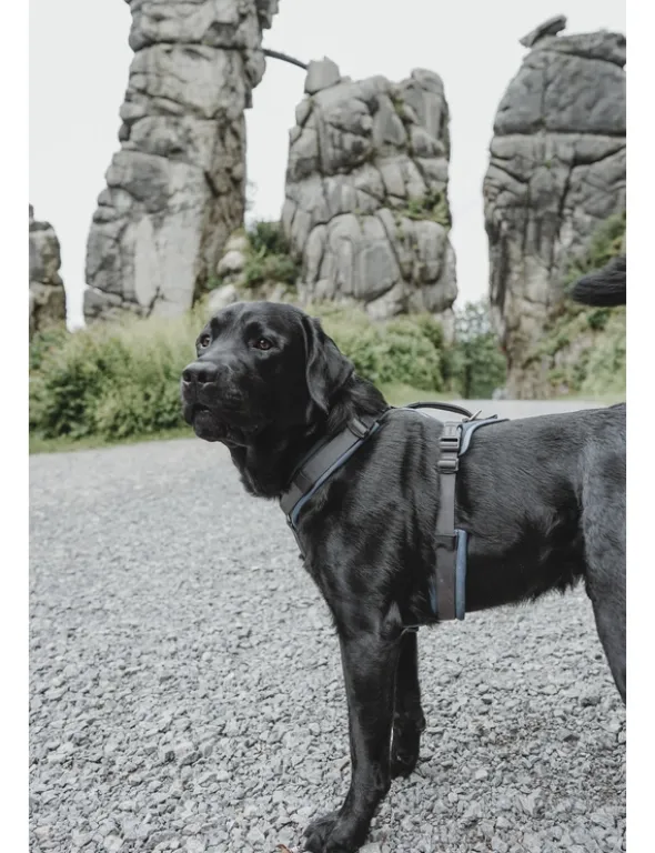 HUNTER Hundegeschirr Maldon Up grau, petrol XS