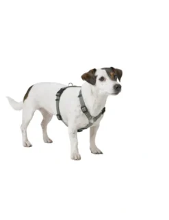 HUNTER Hundegeschirr Tripoli olivgrün XXS