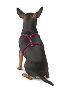 HUNTER Hundegeschirr Tripoli himbeer XS/S