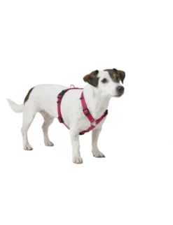 HUNTER Hundegeschirr Tripoli himbeer XS/S