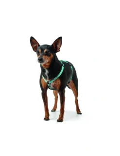 HUNTER Hundegeschirr Tripoli hellblau XS/S