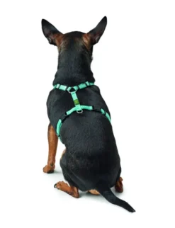 HUNTER Hundegeschirr Tripoli hellblau XS/S