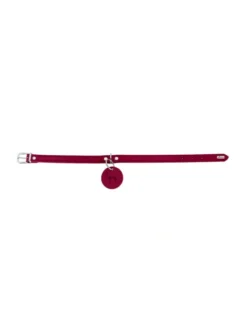 HUNTER Hundehalsband Aalborg rot XS