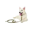HUNTER Hundehalsband Aalborg Special olivgrün 30 cm