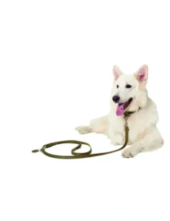 HUNTER Hundehalsband Aalborg Special olivgrün 30 cm