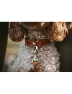 HUNTER Hundehalsband Aalborg Special cognac 30 cm