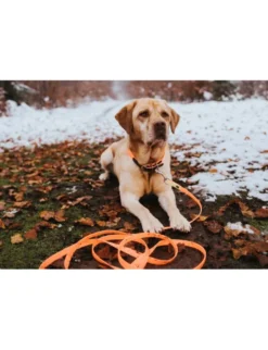 HUNTER Hundehalsband Convenience neonorange XS/S