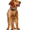HUNTER Hundehalsband Hilo rot L/XL