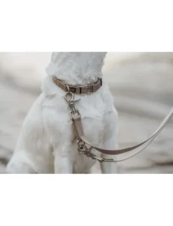 HUNTER Hundehalsband Inari Alu-Strong beige M