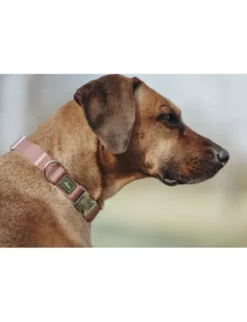 HUNTER Hundehalsband Inari Alu-Strong pastellrot M