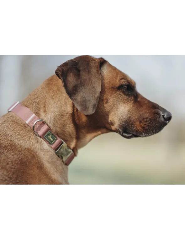 HUNTER Hundehalsband Inari Alu-Strong pastellrot M