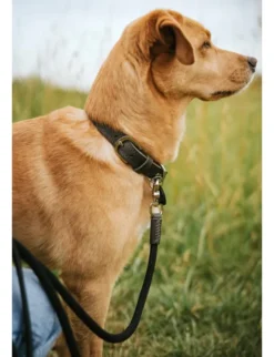 HUNTER Hundehalsband Lemvig schwarz, steingrau 40 cm