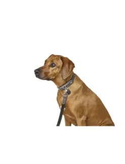 HUNTER Hundehalsband Lemvig schwarz, steingrau 40 cm