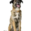 HUNTER Hundehalsband Malia apricot, natur 45 cm