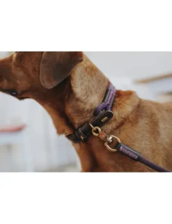 HUNTER Hundehalsband Malia brombeer, dunkelbraun 45 cm