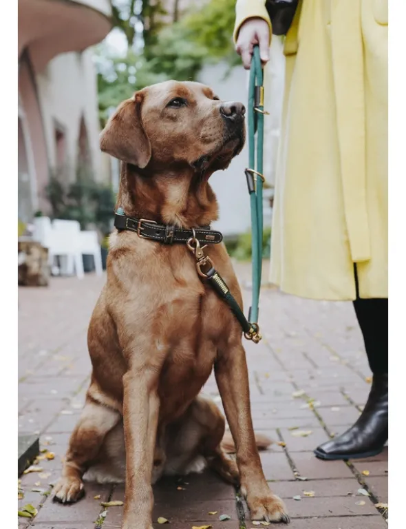 HUNTER Hundehalsband Malia dunkelbraun, dunkelgrün 45 cm