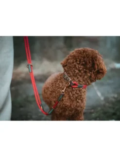 HUNTER Hundehalsband Malia dunkelbraun, weinrot 45 cm