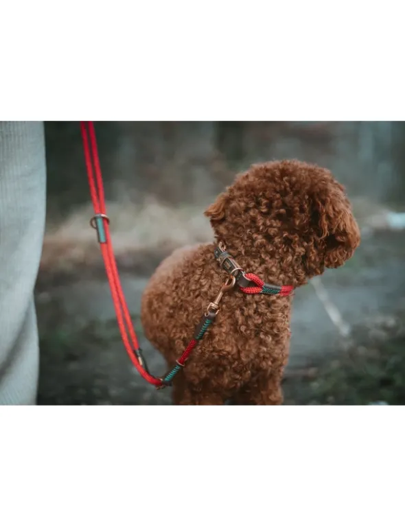HUNTER Hundehalsband Malia dunkelbraun, weinrot 45 cm
