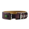 HUNTER Hundehalsband Neopren Reflect braun, karamell M/L