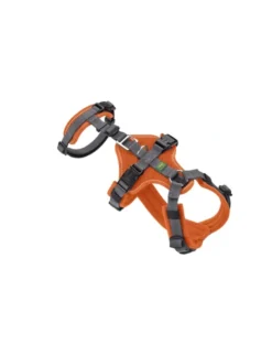 HUNTER Hunde Sicherheitsgeschirr Maldon orange, grau XS