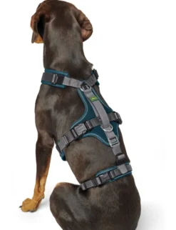 HUNTER Hunde Sicherheitsgeschirr Maldon grau, petrol XS/S