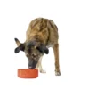 HUNTER Keramik-Napf Osby Glazed orange 0,35 l
