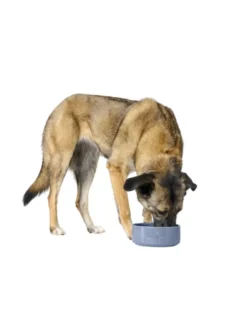 HUNTER Keramik-Napf Osby Glazed taubenblau 2,5 l