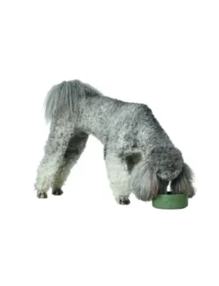 HUNTER Keramiknapf Osby khaki 350 ml