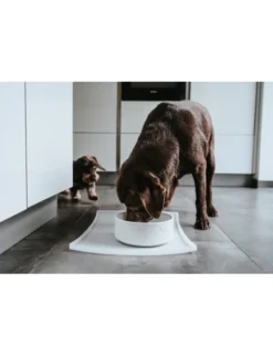 HUNTER Keramiknapf Osby weiß 350 ml