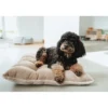 HUNTER Kissen Rockford beige 80 x 60 cm