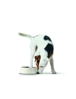 HUNTER Melamin Napf weiß 160 ml