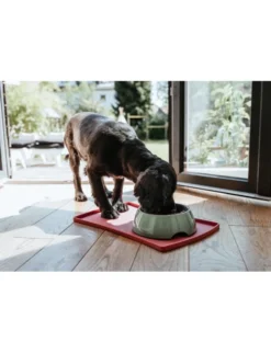 HUNTER Napfunterlage Chester pink 48 x 30 cm