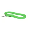 HUNTER Suchleine Convenience apfelgrün 5 m / 10 mm