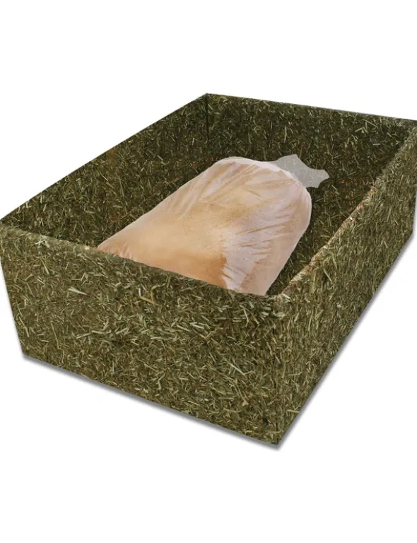 JR Farm Back to Instinct Buddel-Box beige, grün