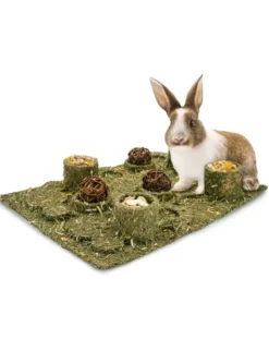 JR Farm Back to Instinct XXL Fun-Park 430g
