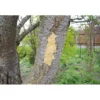 JR Farm Bark-Butter 620g