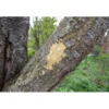 JR Farm Bark-Butter Nüsse 2kg