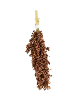 JR Farm Dari-Kolben Vogel Snack 100g