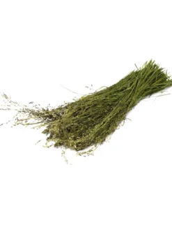 JR Farm Ein Stück Natur Wildgräser-Ernte 80g