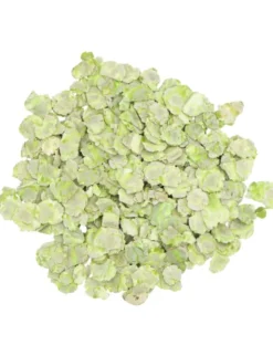 JR Farm Erbsenflocken 200g
