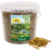 JR Farm Garden Hermetia/Soldatenfliegen-Larven 400g