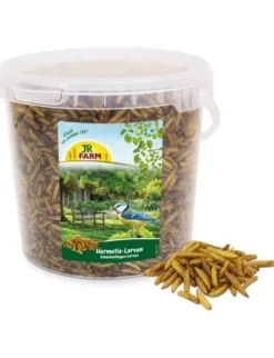 JR Farm Garden Hermetia/Soldatenfliegen-Larven 400g