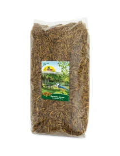 JR Farm Garden Hermetia/Soldatenfliegen-Larven 1kg