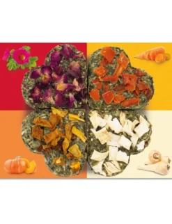 JR Farm Grainless Glücks-Quartett 60g