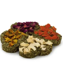 JR Farm Grainless Glücks-Quartett 60g