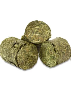 JR Farm Grainless Health Vital-Blocks Atemwege 300g