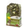 JR Farm Grainless Mix Degu 650g
