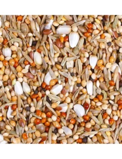 JR Farm Großsittich-Schmaus 1kg