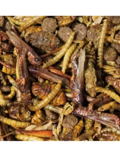 JR Farm Igel-Snack 100g
