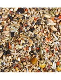JR Farm Individual Kanarien 1kg